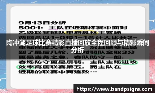 陶冲湖足球比赛精彩直播回放全程回顾与精彩瞬间分析