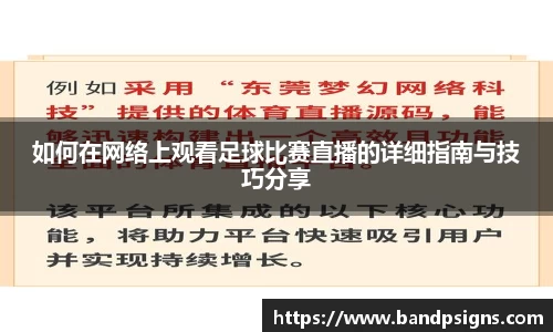 如何在网络上观看足球比赛直播的详细指南与技巧分享