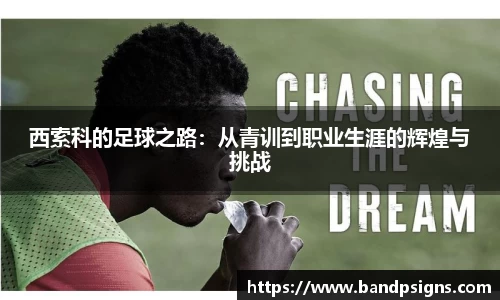 西索科的足球之路：从青训到职业生涯的辉煌与挑战