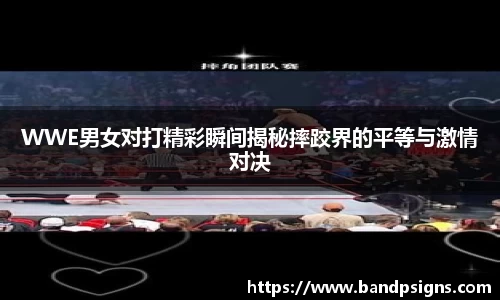 WWE男女对打精彩瞬间揭秘摔跤界的平等与激情对决