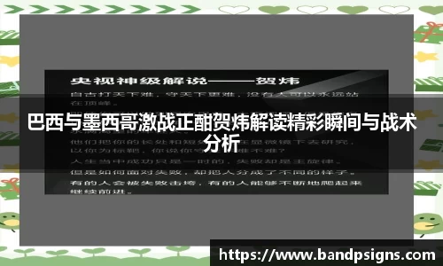 巴西与墨西哥激战正酣贺炜解读精彩瞬间与战术分析